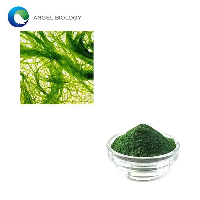 Chlorella Powder
